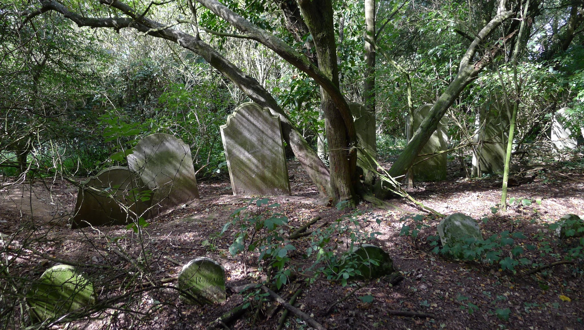 East Hanningfield - Old St Andrews