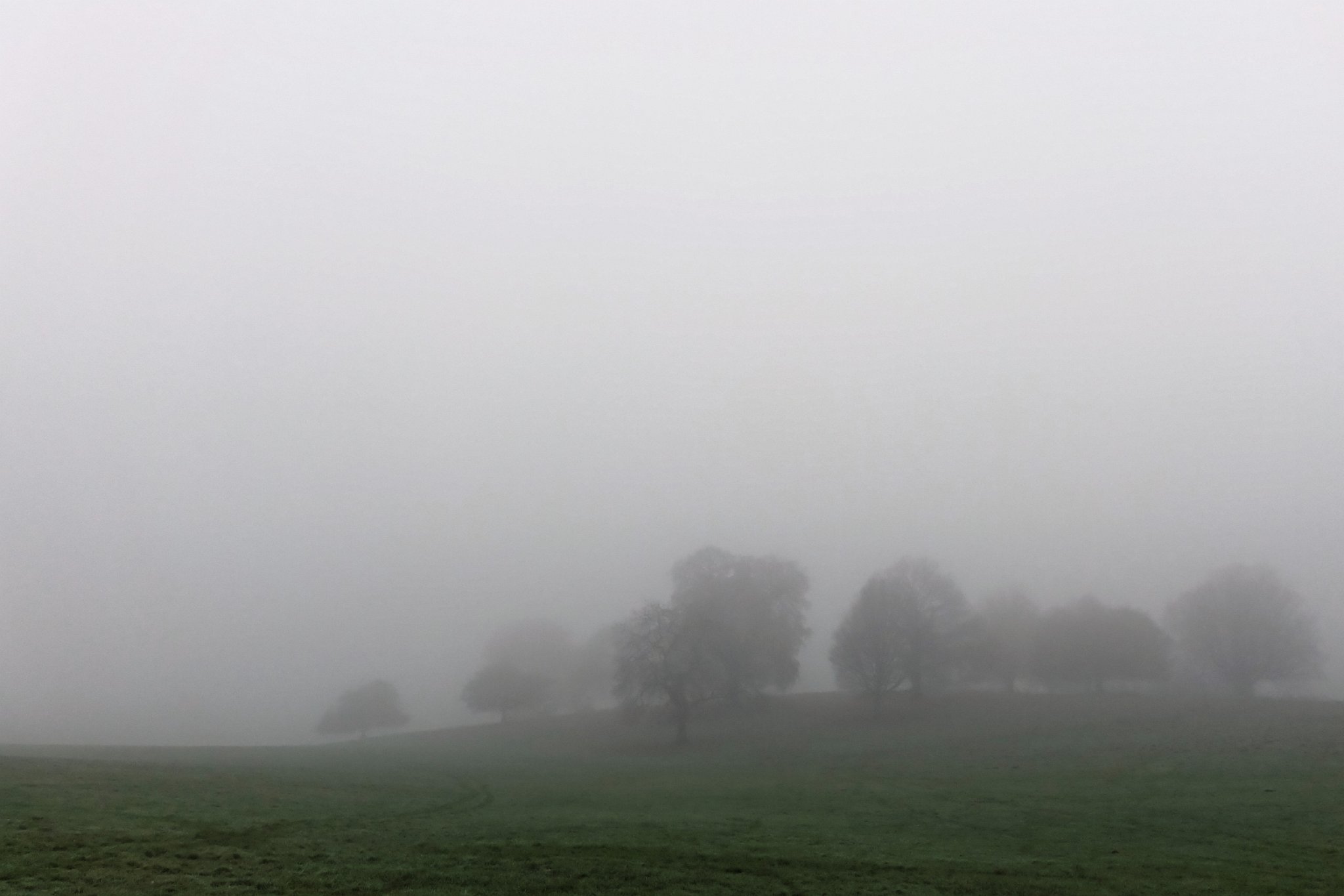 Morning Mist
