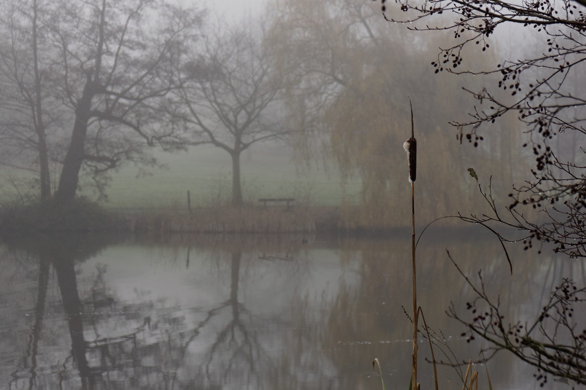 Solitary View