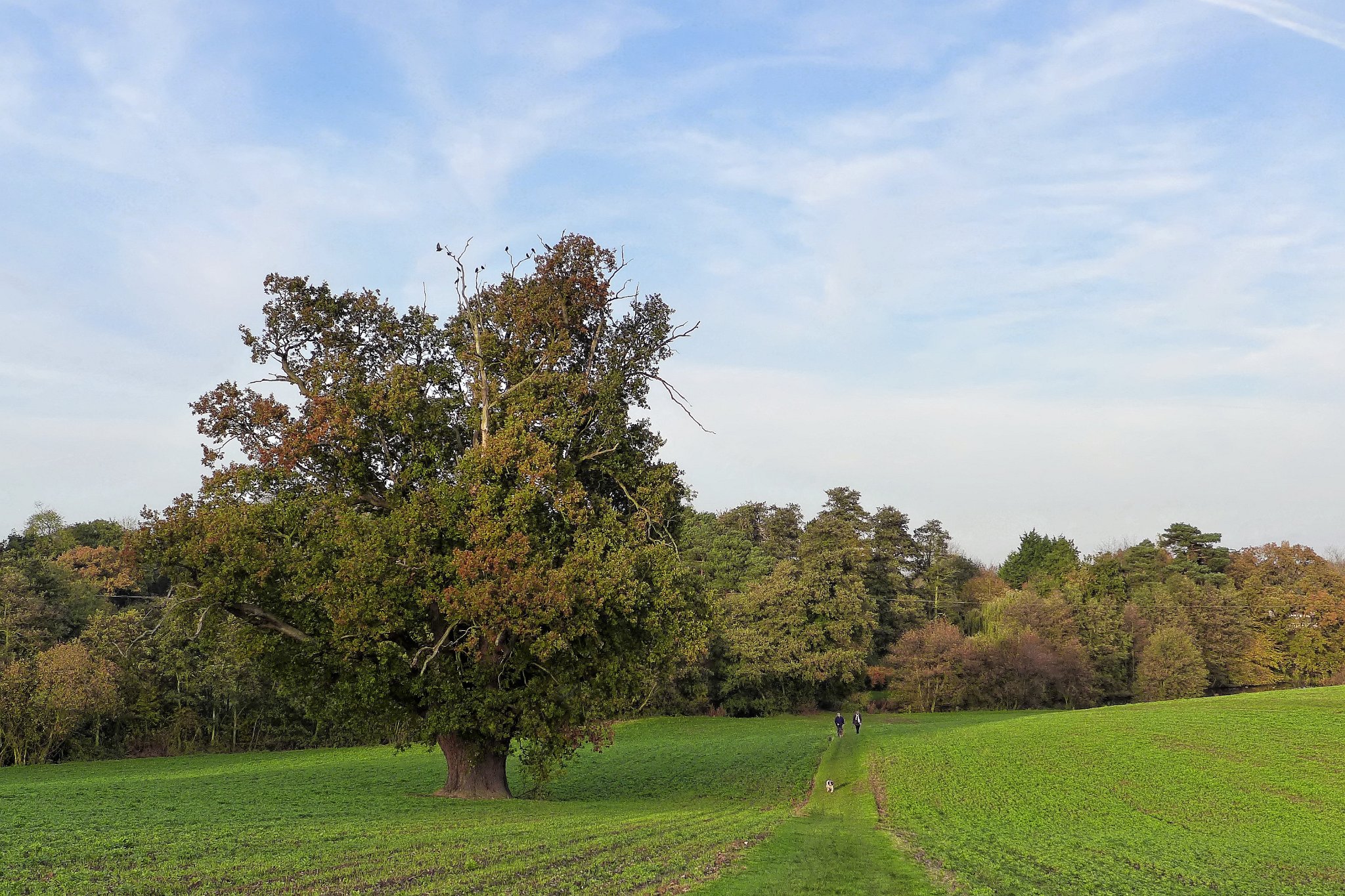 Little Easton, Essex