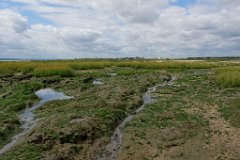 Essex Marshland  Canvey Point. Essex contains the largest areas of salt marsh in south east England : Canvey, Coast, Marsh