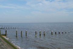 Holland on Sea Groynes  Balancing act : Holland on Sea, Essex, Coast, Beach, groynes, seagull