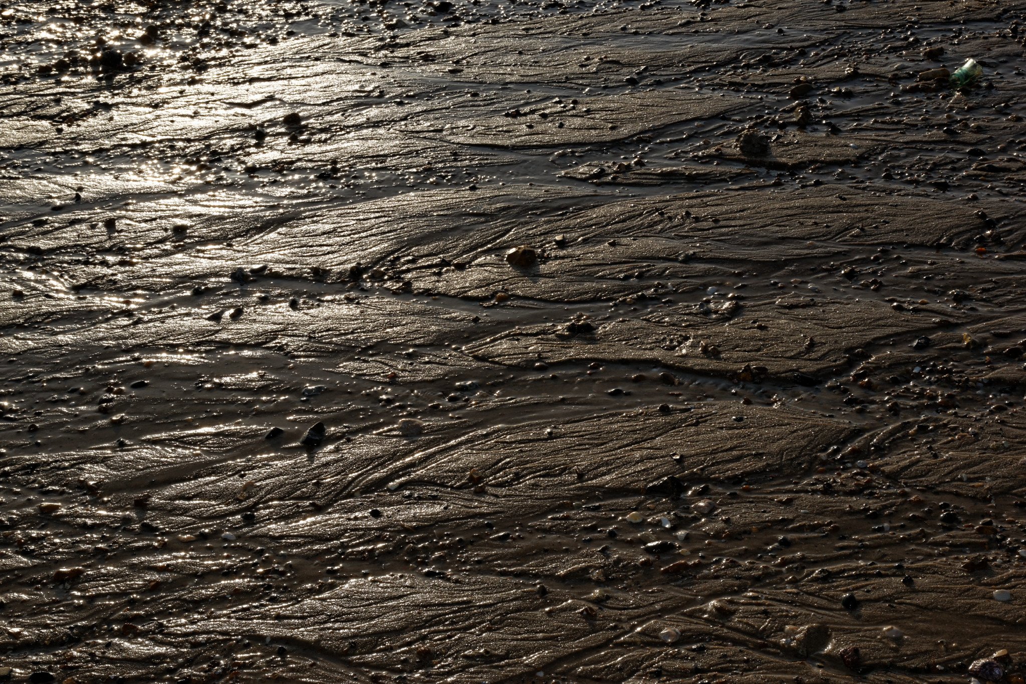 Bronzed Beach, West Mersea