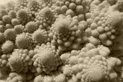 Romanesco Cauliflower (2)  Phyllotaxis: naturally occurring Fibonacci sequences. : Romanesco, Cauliflower