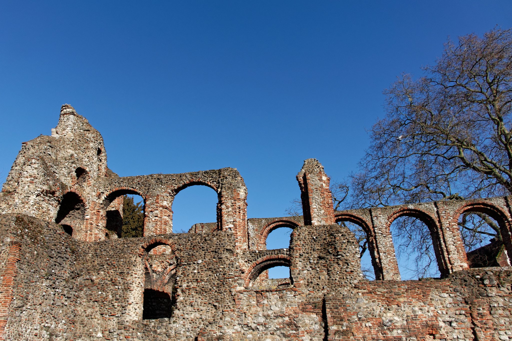 Colchester - St Botolph's Priory - North Wall of Cloister