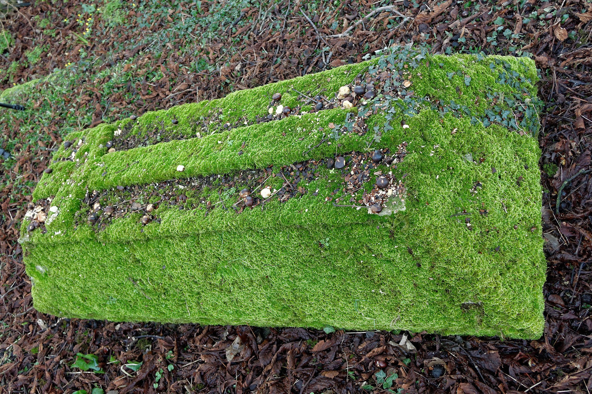 Little Chesterford - St Mary - Mossy Grave