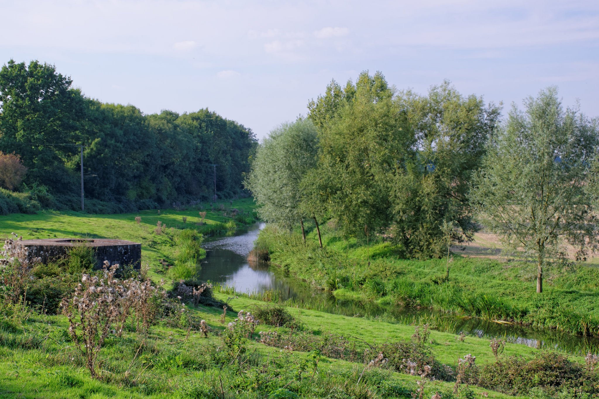 River Stour - Lamarsh