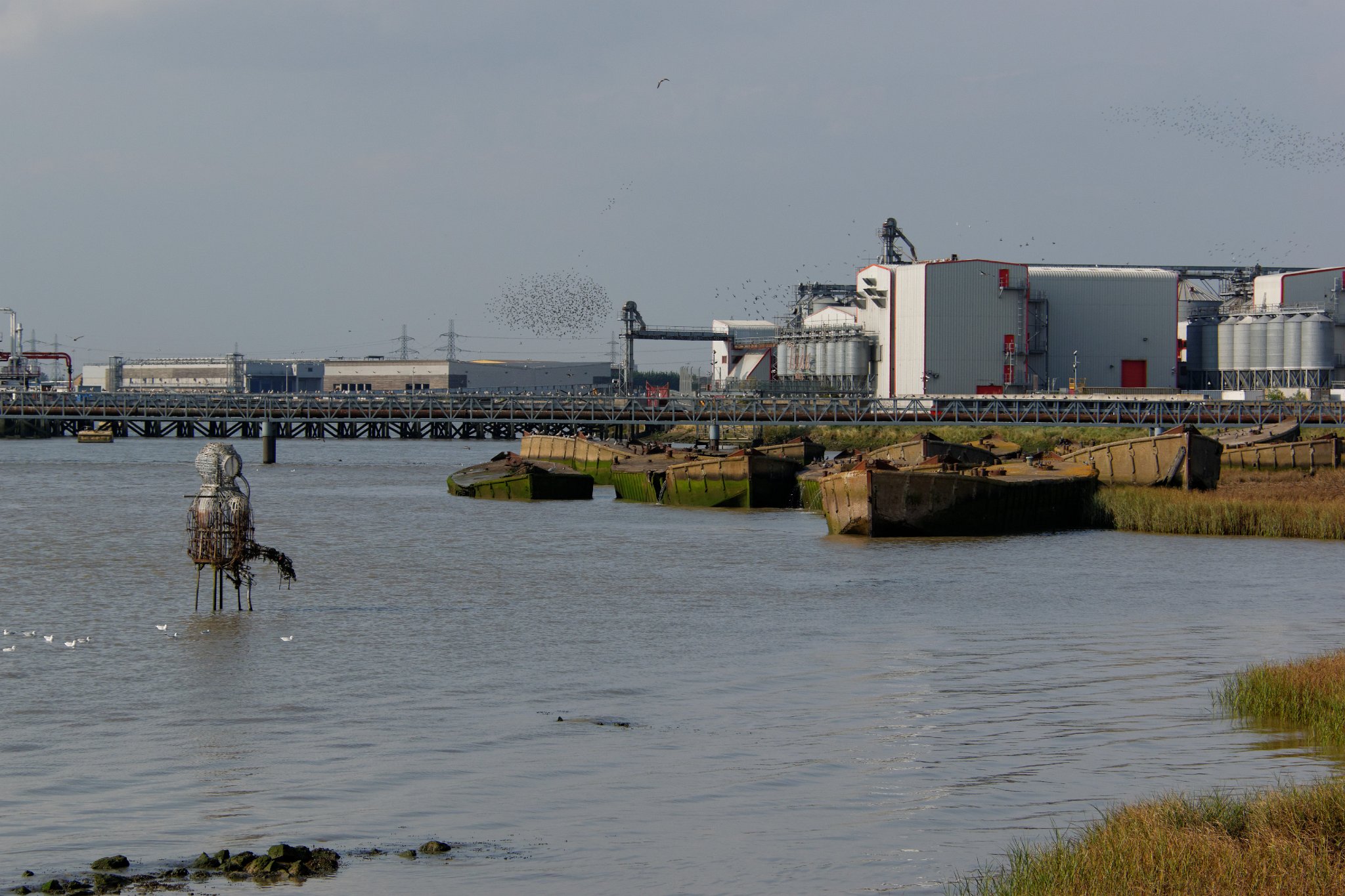 Diver and Barges, Rainham