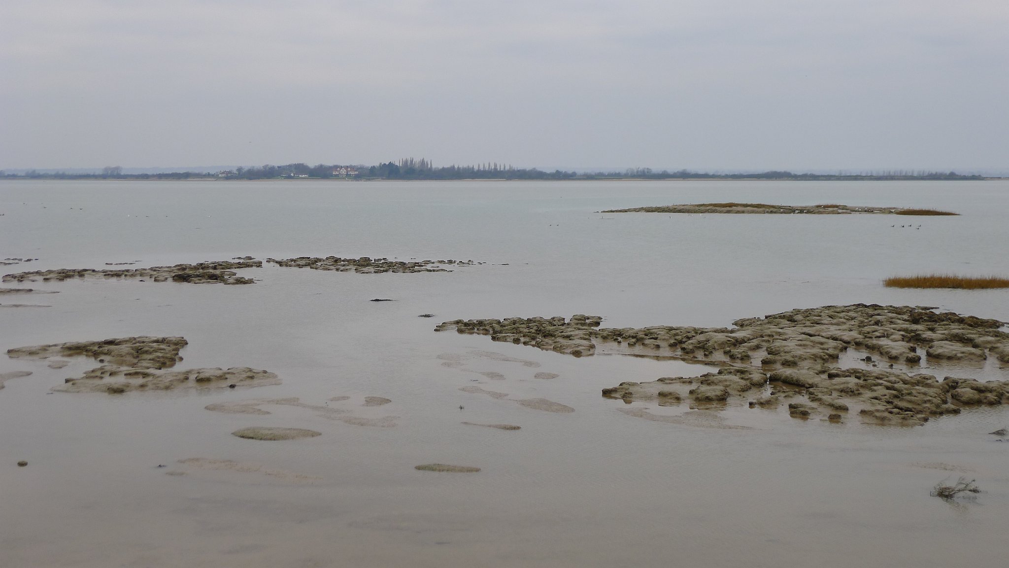 Osea Island