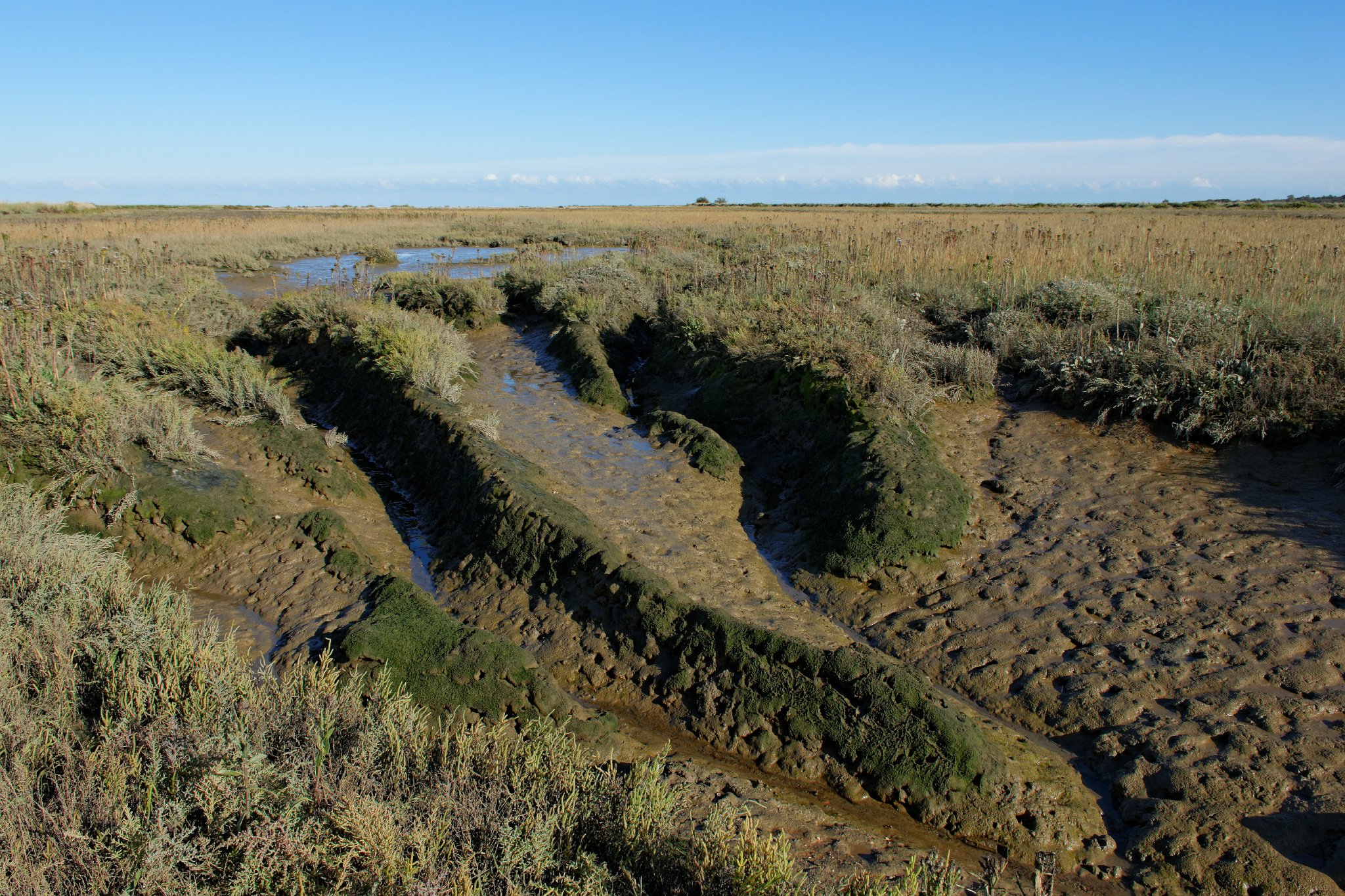 Stone Creek, Essex - Marshland