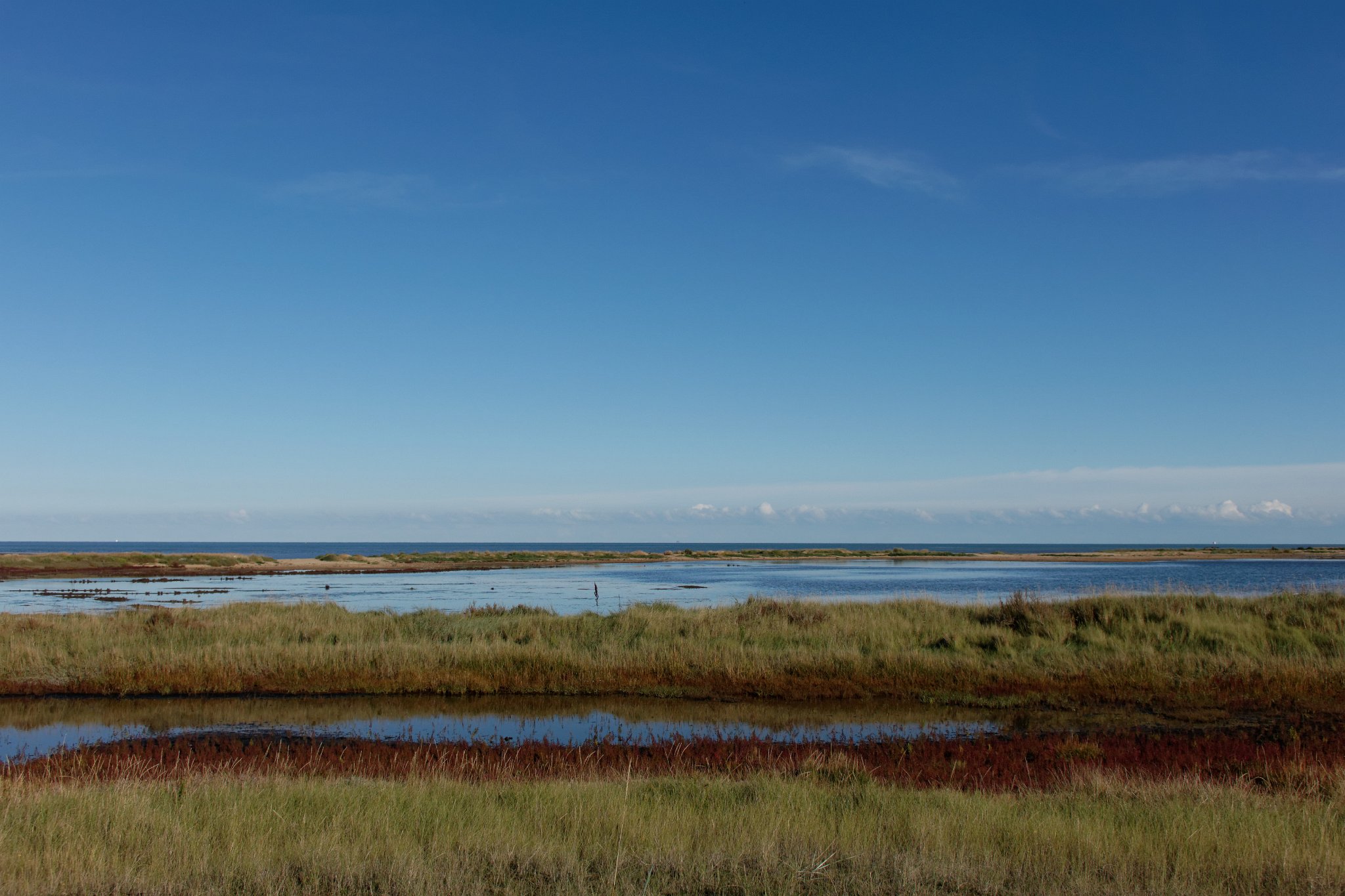 Stone Marsh