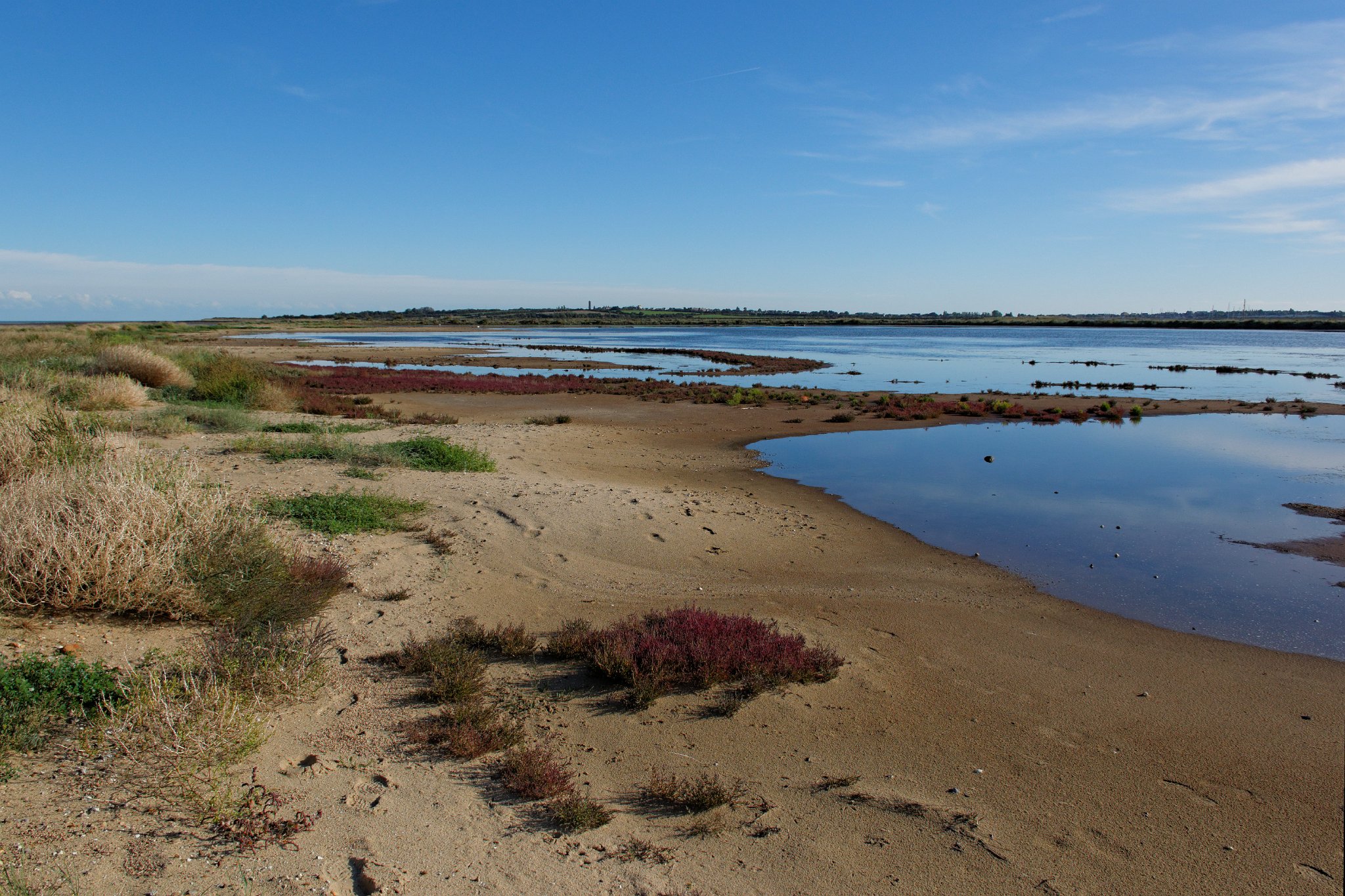 Stone Marsh