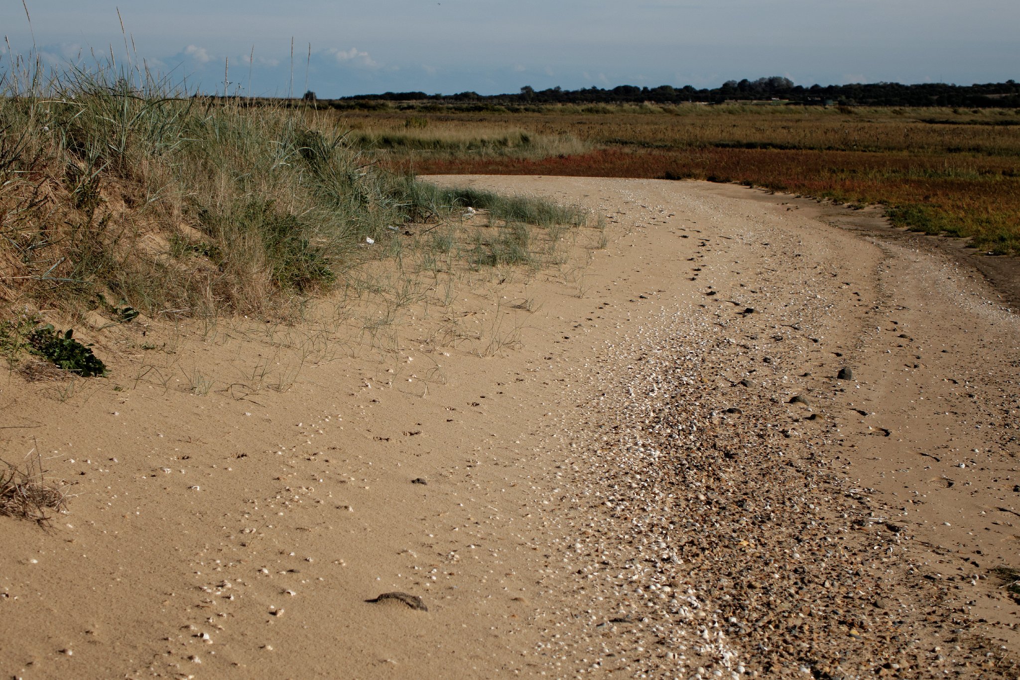 Stone Point Shoreline